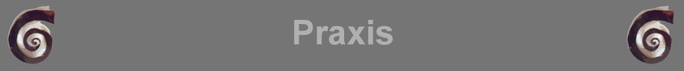 Praxis